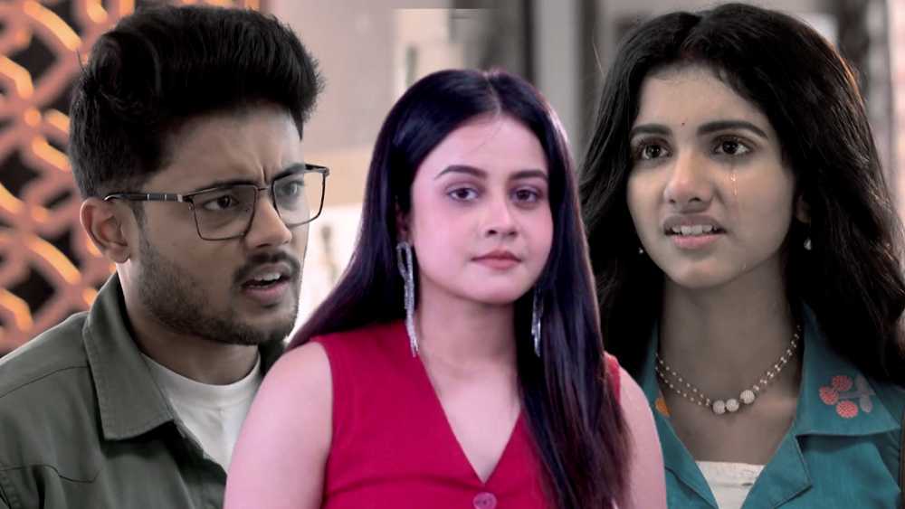 Tomader Rani Serial anisha plan to break durjay-rani's jodi